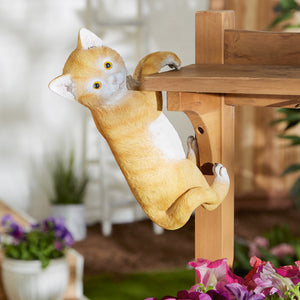 CLIMBING CAT AMBER POT HANGER