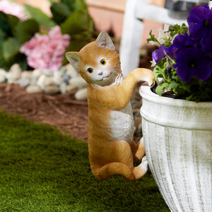 CLIMBING CAT AMBER POT HANGER