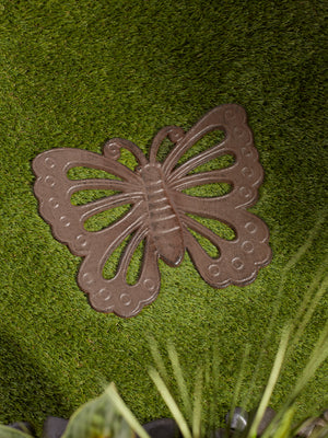 BUTTERFLY STEPPING STONE