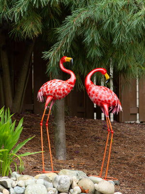 BRIGHT STANDING FLAMINGO LOOKING BACK