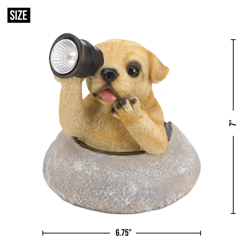 PUPPY WITH TELESCOPE SOLAR LIGHT – Sigma Distributors