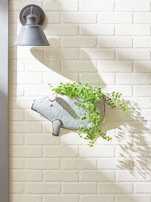 PIG GALVANIZED WALL PLANTER