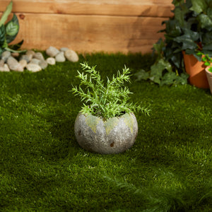SMALL OVAL PLANTER